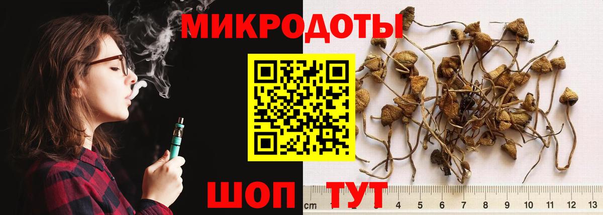 Галлюциногенные грибы ЛСД  Галлюциногенные грибы Psilocybe  купить наркотик  Вход с VPN  Шатура 